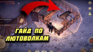 ВСЁ ПРО ЛЮТОВОЛКОВ В ГРИМ СОУЛ / ЧТО ВАЖНО ЗНАТЬ НОВИЧКУ