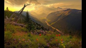 Я уйду, а вы живите...