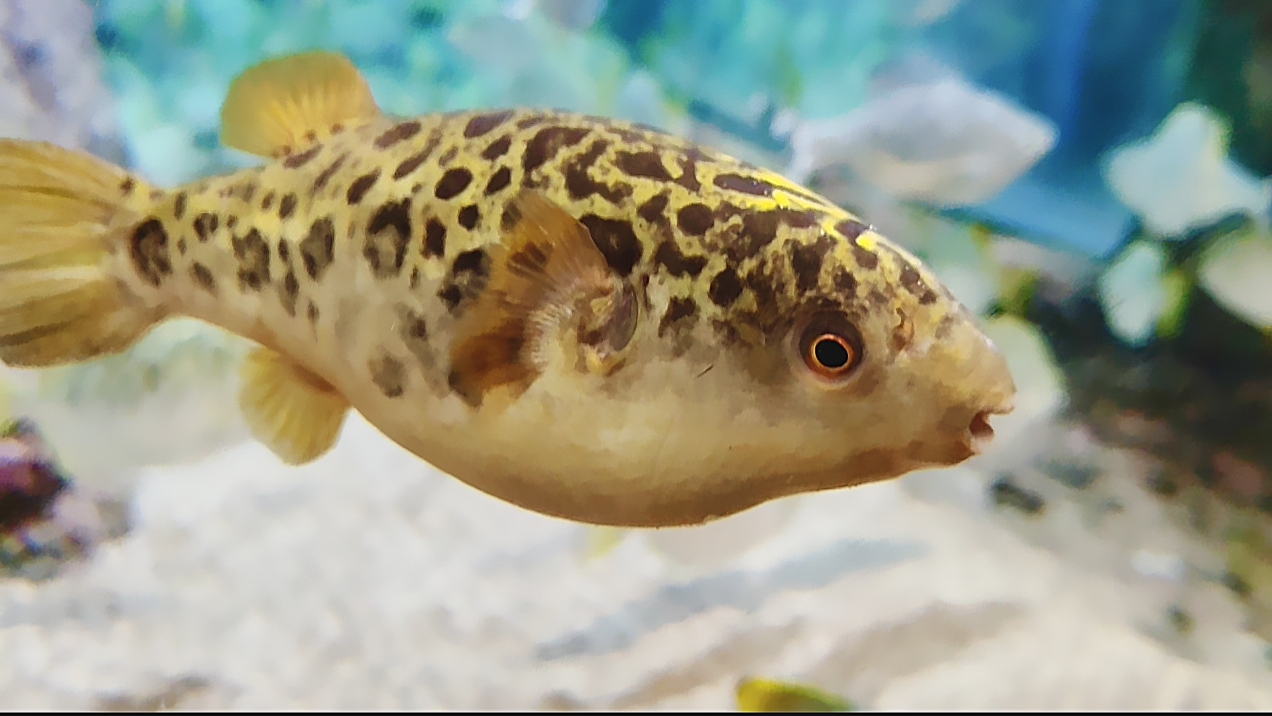 Москвариум. Часть 9