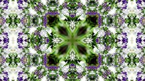 Видеофоны! Видеофон Подснежники 12! Футаж от Киностудии Мудрого Кота Тимофея!