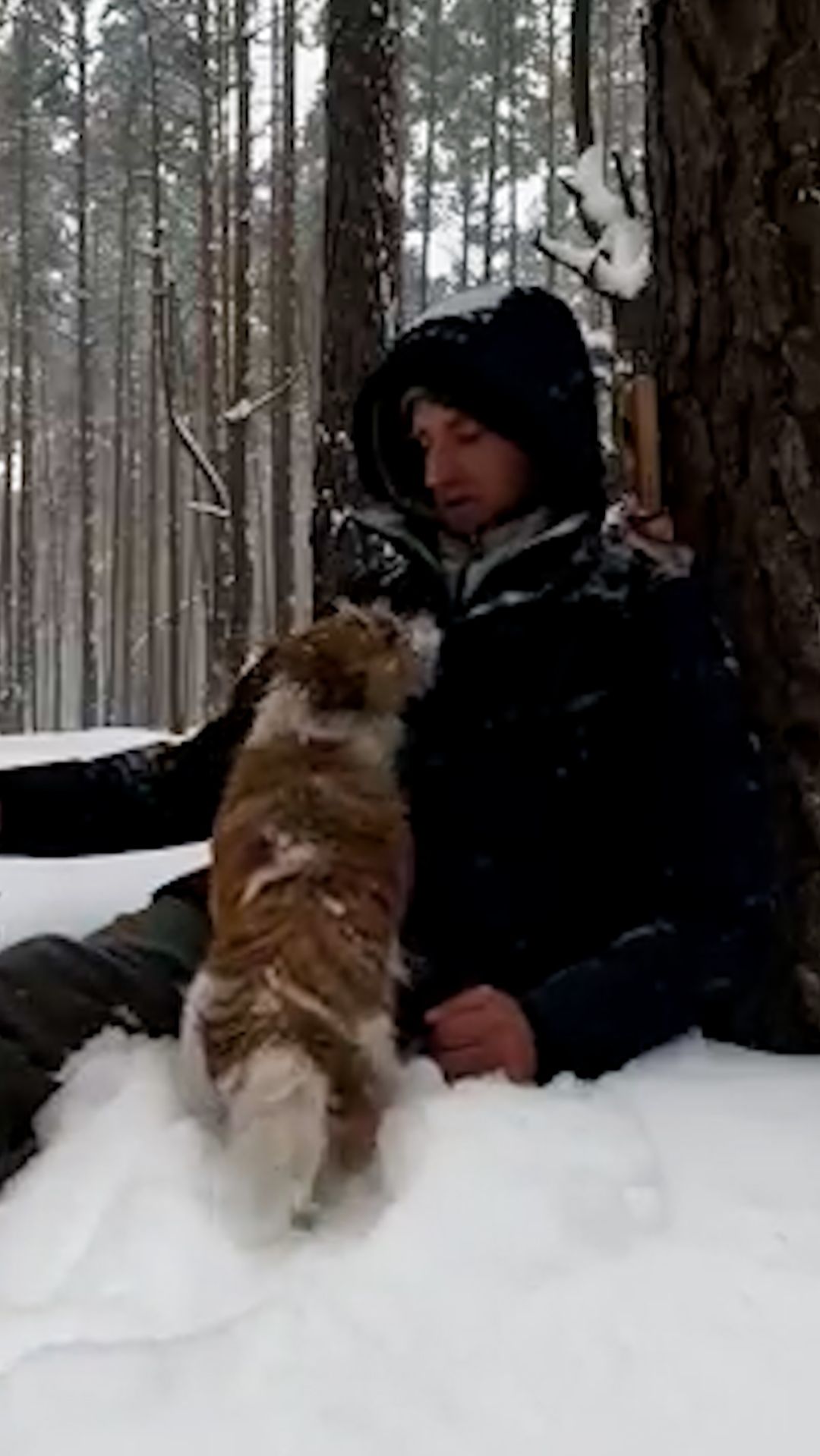 Путь к тайной лесной избушке