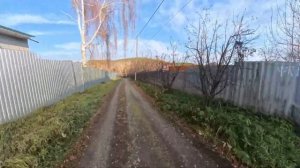 Мася едет на ВЕЛИКЕ!