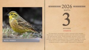 03.03.2026 Народный календарь