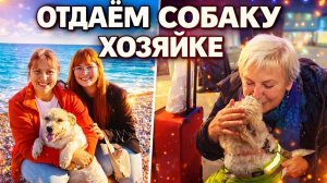 ОТДАЁМ СОБАКУ! ПОСЛЕДНИЙ ДЕНЬ ВМЕСТЕ - КАК ПРОВЕЛИ. Вернулась хозяйка! Турция Анталия #влог