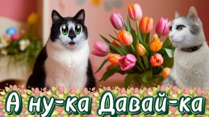 А ну-ка Давай-ка. Кот Малыш не знает что подарить на 8 марта. Песня-поздравление с 8 марта.