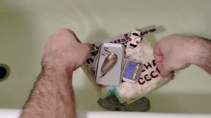 ЛЕГЕНДАРНАЯ И РЕДКАЯ БЛЕСНА НОРИЧ МАЛЫЙ ИЗ СССР, ЗАВОДА ЛООИР. В НАРОДЕ ШИШКА О НЕЙ ХОДИЛИ ЛЕГЕНДЫ.