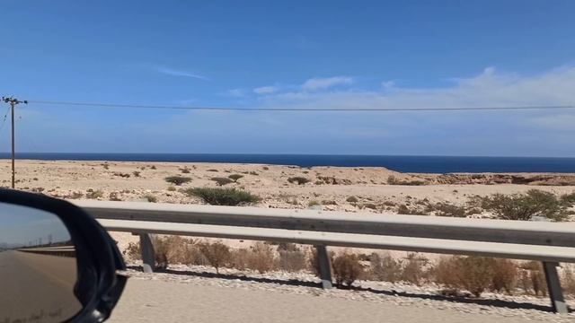 Скудная растительность как-то живёт на этих сухих землях и камнях!