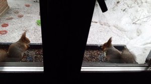 всё спокойно