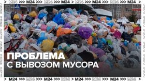 В Жилищном союзе Москвы рассказали, чем объясняются проблемы с вывозом мусора во дворах - Москва 24