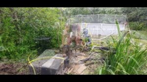 Делаем абисинскую скважину.