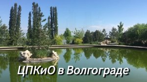 Волгоград в апреле. Пруд с черепашками в ЦПКиО✅