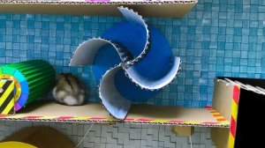 🐹УМОПОМРАЧИТЕЛЬНЫЙ ХОРНИТОВЫЙ ЛАБИРИНТ С ЛОВУШКАМИ 😱Полоса препятствий для домашних животных