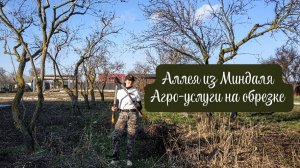 Обрезаем и пилим вкусный Миндаль