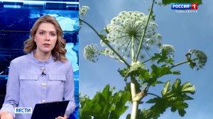 «Вести Новосибирск» узнали об изменениях в законах с 1 марта 2026 года