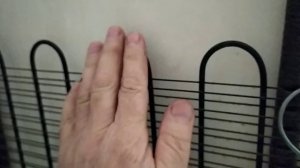 клапан Шрёдера в ëлочку латунь