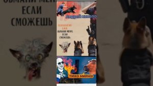 Нежность от Савелия