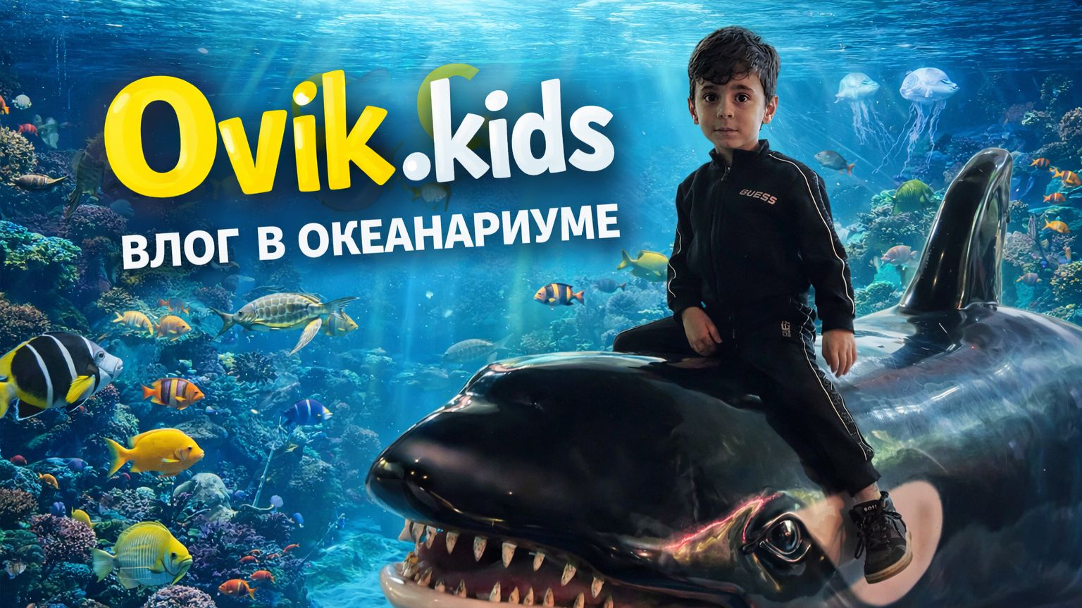 Океанариум и морские животные 🐟