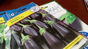 СОРТА БАКЛАЖАНОВ,  КОТОРЫЕ БУДУ СЕЯТЬ.