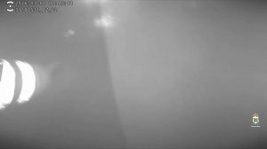 В Югре автоинспекторы помогли спасшейся на пожаре женщине вынести из горящего дома кошку и документы