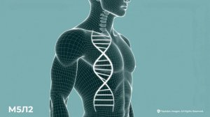 Культура здорового образа жизни