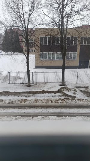 26 подписчиков и выбираем новую рубрику