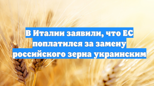 В Италии заявили, что ЕС поплатился за замену российского зерна украинским