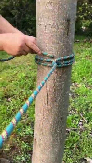 Сохраняйте, пригодится .