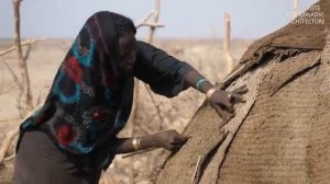 Обитатели пустыни Данакиль.