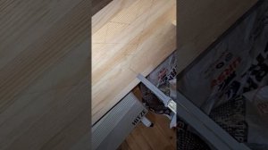 1000049857.mp4 (Собака наблюдает за устройством лестницы на 2-ой этаж в доме А-фрейм)