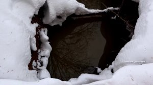 Новости Кирова 26.02.26