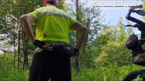 Родник,лес природа.