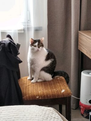 ДЕЛАЮ ШАРИК ИЗ ПАПЬЕ МАШЕ