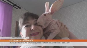 От шерсти свободен