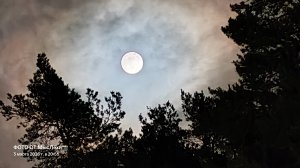 НА НОЧЬ ГЛЯДЯ ДЛЯ БОЛЬШИХ ДЕТИШЕК