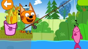 ТРИ КОТА. ТРИ КОТА НА ПИКНИКЕ.