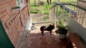 Жизнь вне орхидей- тёплое кубанское утро в доме на Юге, но ОНА кажется ПОДМЁРЗЛА