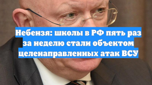 Небензя: школы в РФ пять раз за неделю стали объектом целенаправленных атак ВСУ