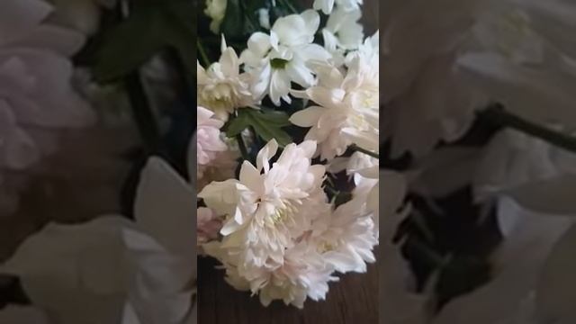 Кривое зеркало обзоры на Губареву -  Обо всем и много.