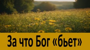 За что Бог «бьет» человека?   Николай Сербский