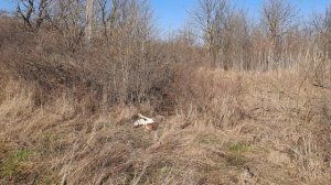 Куда ,,катится,,наш Мир ?! Размышление на природе....