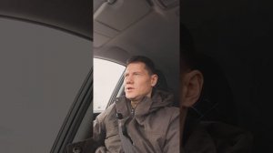 Авито Подработка. Четыре лапы