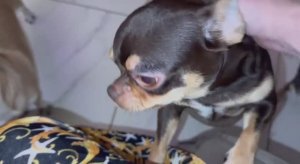 Завтра будем поздравлять Зайкина и дарить подарки.