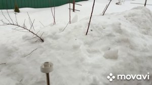 3 марта хойки.Набор с Вайлдберриз