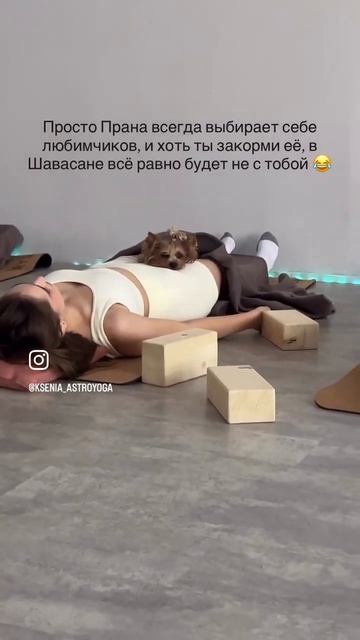 Собакатерапия  #йогадлявсех #йогадома