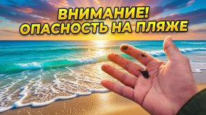 Дюны 🌞 море 🌊 и мазут 🛢️ // Анапа, пляж София 🏖️, Альбатрос 🕊️ тест смартфона 📱(снято 4К)