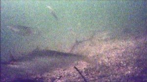 Выезд 23.02.2026