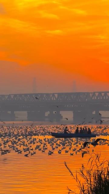 Дели, Индия 🇮🇳