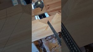 1000049858.mp4 (Собака наблюдает за устройством лестницы на 2-ой этаж в доме А-фрейм)