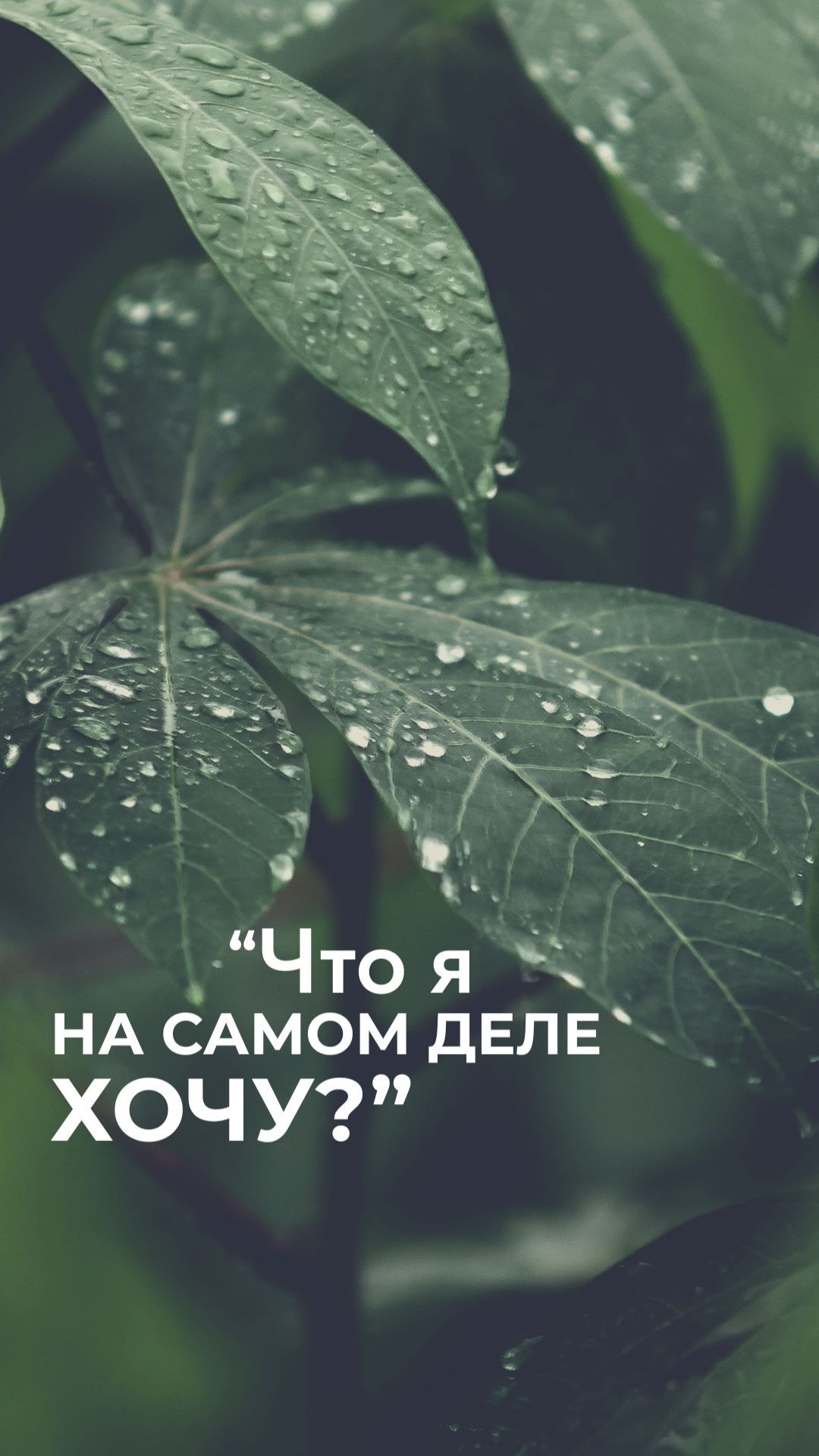 О лидерских качествах, детских травмах и ловушках успеха.