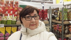 Пионы, гортензии, клематисы в ЛеманаПро. Март 2026 г.